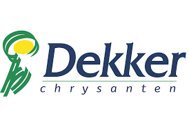 Dekker Chrysanthemum Logo