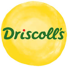Driscoll's Logo