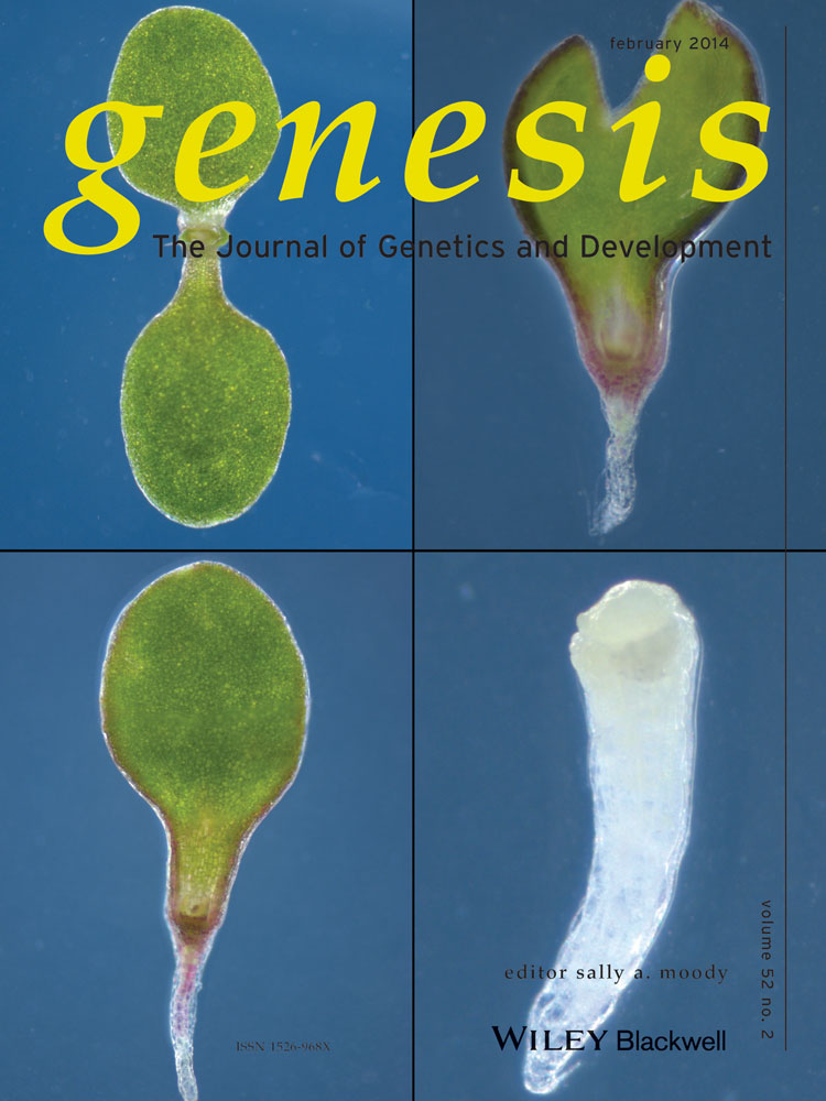 Genesis Journal Cover